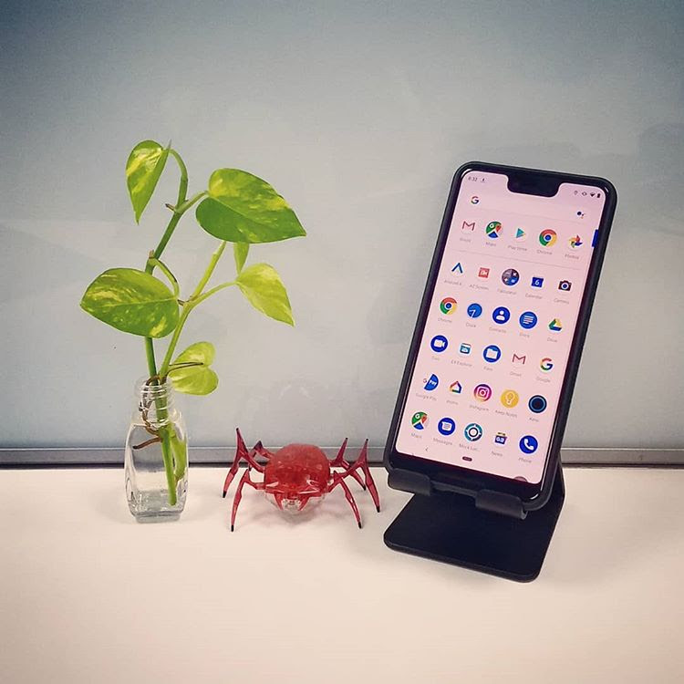 A moneyplant, a bug, and a mobile stand with Pixel on it
